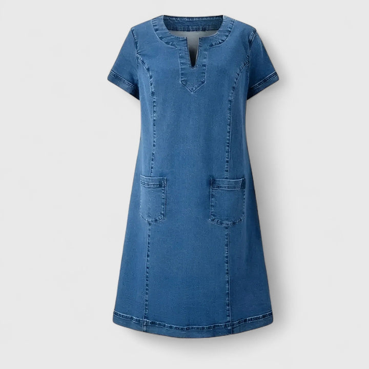 Savannah Denim Dress